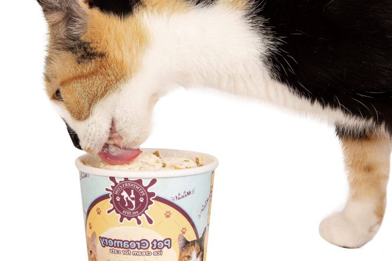 Safe Ice Cream For Cats
