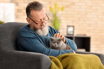 Best Cat Breeds for Seniors and Retirees