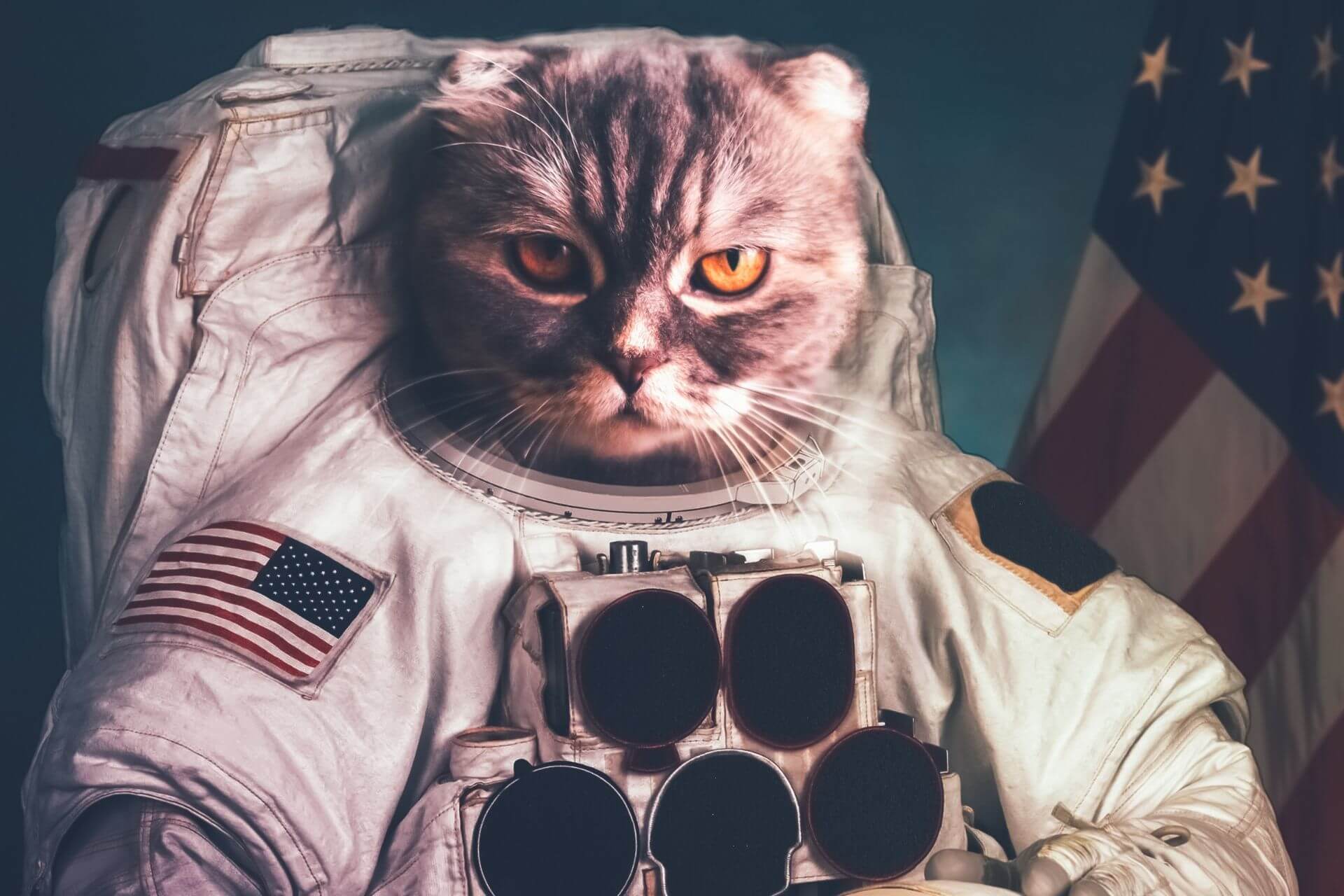 Space Names For Cats